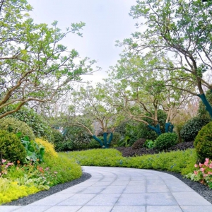 別墅庭院設(shè)計(jì)的后期如何養(yǎng)護(hù)威风凛凛？